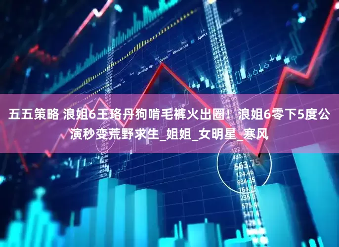 五五策略 浪姐6王珞丹狗啃毛裤火出圈！浪姐6零下5度公演秒变荒野求生_姐姐_女明星_寒风
