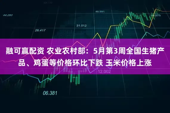 融可赢配资 农业农村部：5月第3周全国生猪产品、鸡蛋等价格环比下跌 玉米价格上涨